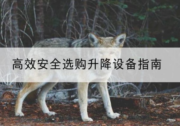 梓潼升降货梯厂家推荐-*安全选购升降设备指南
