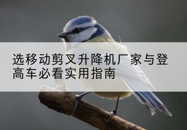 梓潼电动升降机厂家-选移动剪叉升降机厂家与登高车必看实用指南