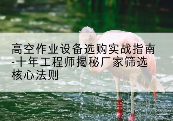 梓潼剪叉式升降机厂家-高空作业设备选购实战指南-十年工程师揭秘厂家筛选核心法则